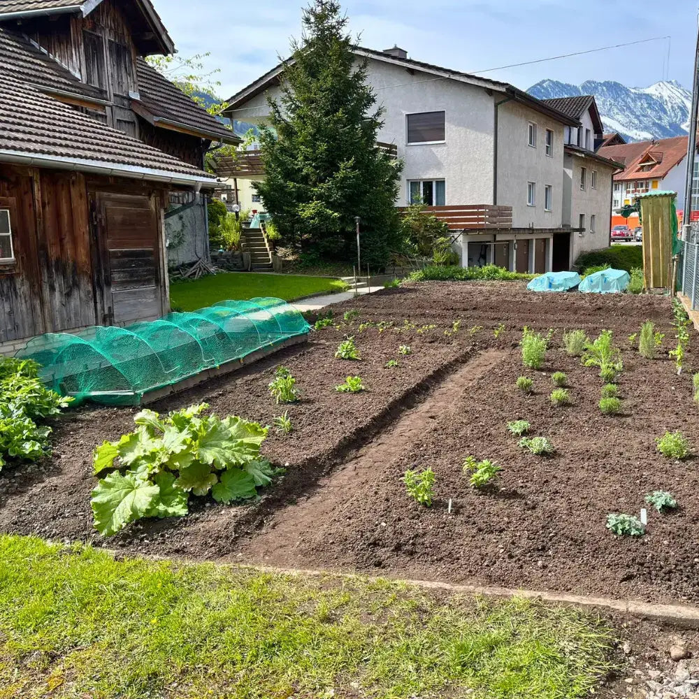 Schöner gepflegter Garten mit diversen Gemüse und Kräuterpflanzen.