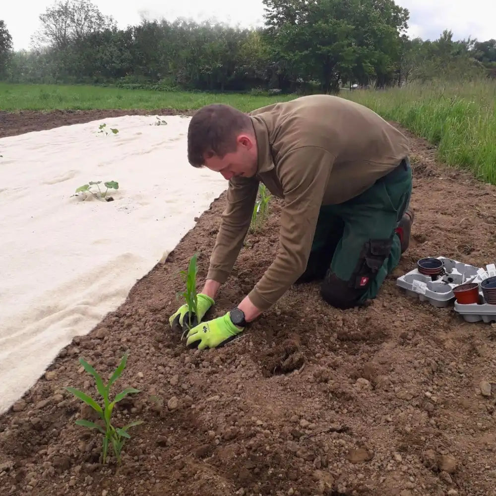 Augenschmauserei Mitarbeiter auf dem Feld, welcher das Feld von Hand bestellt.